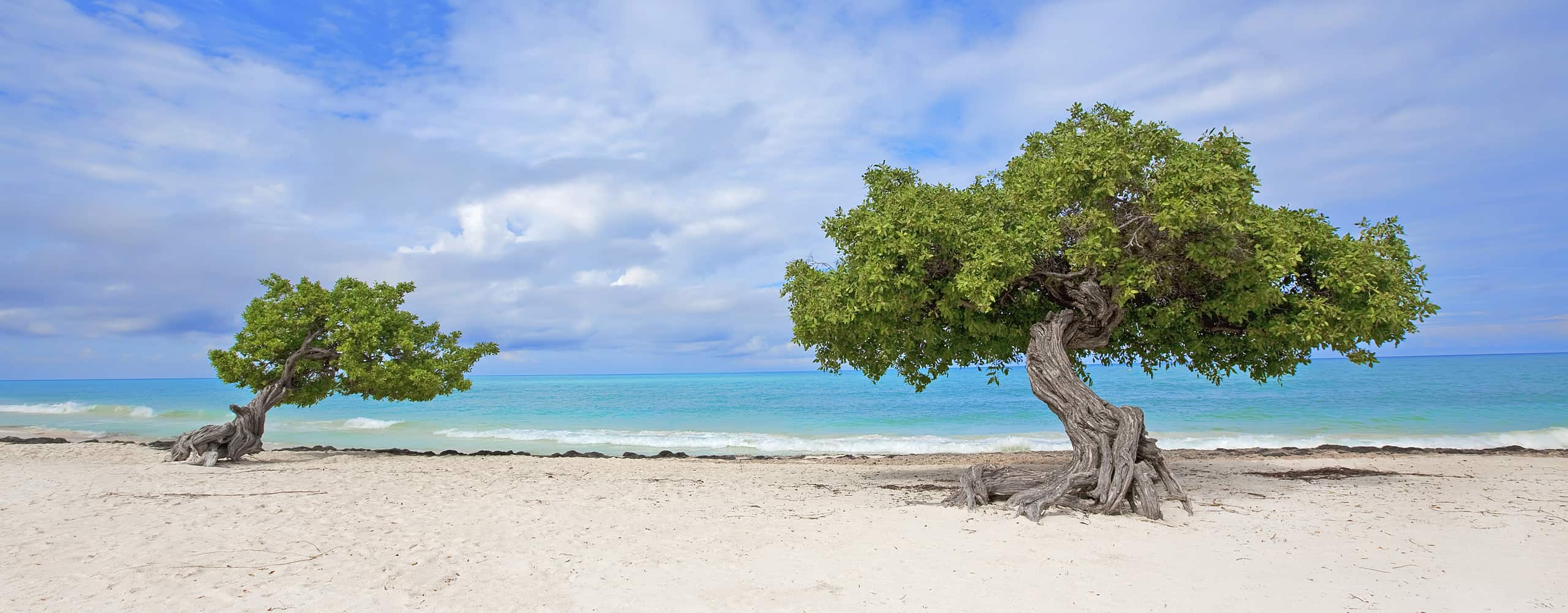 Eagle Beach, Aruba